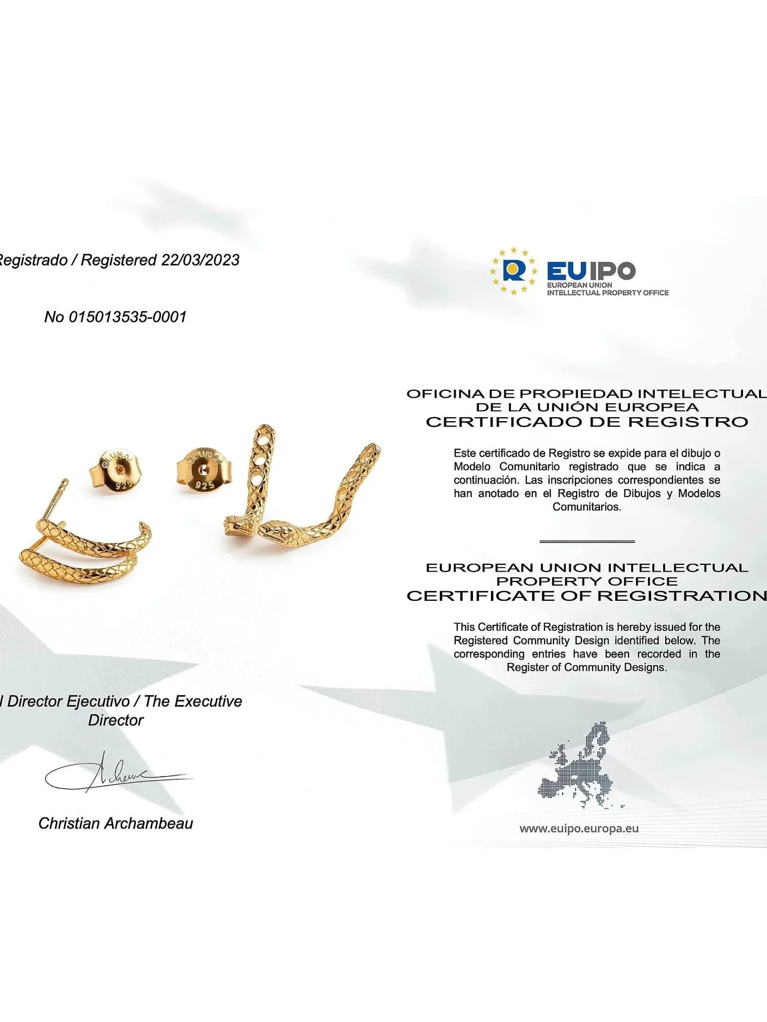 Anaya Snake Earrings Set
